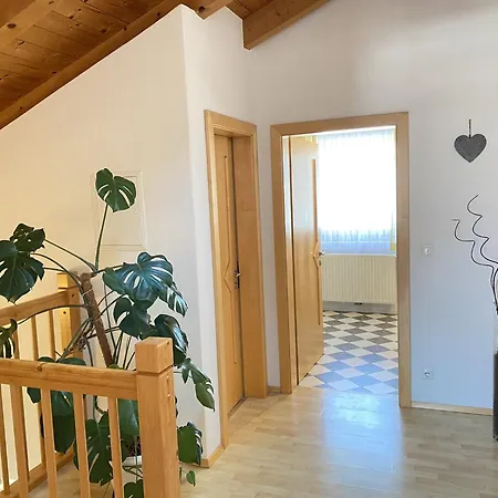 Panoramablick Zell Am 滨湖采尔