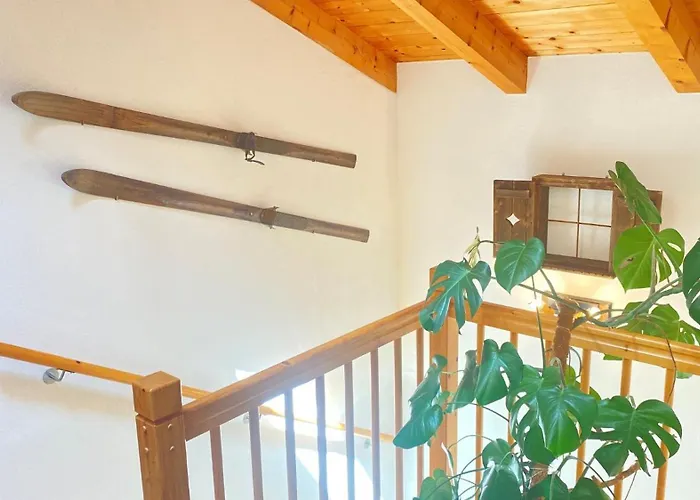 Panoramablick Zell Am Zell am See