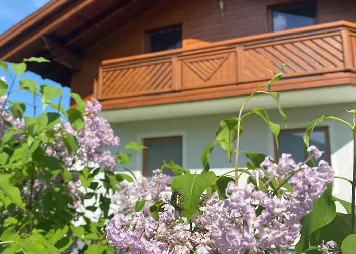 Panoramablick Zell Am